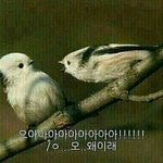 [댓글부탁해] 미성년자 <b>숙박</b>업소 말이야