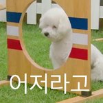 [EXO] 제발 판만 보지않았으면