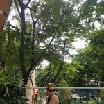 [세븐틴] <b>유리</b>에 몸 다비춰;;;