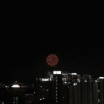 [인피니트] ㅅㄷ 얘들아 <b>불꽃</b>놀이봐봐~
