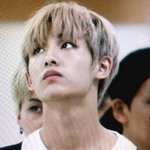 [NCT] <b>오늘자</b> 동스청 플뷰 보구가