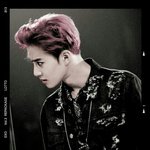 [EXO] 마이 올 캐럿츠 <b>앤드</b> 핸드넥