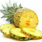[인피니트] 파인애플이 <b>진리</b>지