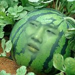 [인피니트] <b>미친놈</b>을아 수박뭔데 ㅋㅋㅋㅋㅋㅋㅋㅋㅋㅋㅋㅋㅋㅋ