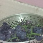 [EXO] 조카 <b>고민</b>된다 먹을까 말까