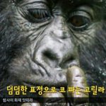 이 생각하면 좀 소름돋지 않아?