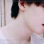 [세븐틴] <b>캐럿</b>들 도와조 ㅠㅠ