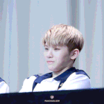 [세븐틴] 여기에 쓰면 이루어진다