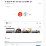 [EXO] 엑톡 덤엔더<b>머들</b>