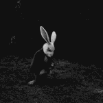 [신네기] 손나은 연기 많이 늘지 않았음?