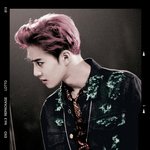 [EXO] 엓톡 금손 <b>채색</b>이 모음
