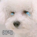 [EXO] 아시 발 집에서 에어컨틀고 <b>보일러</b> 틀어놓음