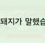 [19] 야한 거 볼때 ㄹㅇ 현타는 이거임