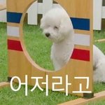 [EXO] 나 <b>말차</b>팝콘 멸치팝콘으로 봣다