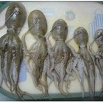 [댓글부탁해] 오랜만에 <b>인소</b>볼 건데 추천 좀 해죠