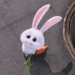 [댓글부탁해] 홈<b>스쿨</b>링 하고싶은 사람이나 하는 사람 있어???