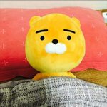 [댓글부탁해] 내 친구 성격 어떤거같아?