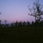 [CHEN] <b>시흥</b> 첸숲이래