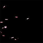 [방탄소년단] 화양연화..