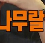 정국이든 랩몬이든