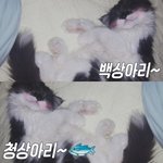 오늘 수영장갔는데 애기낳고싶은마음 사라졌음