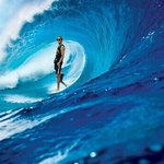 [세븐틴] 영원히 고통받는 김민규