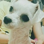 [댓글부탁해] <b>얼</b><b>평</b>좀!!