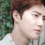 [EXO] 도대체 음반음원은 왜 <b>차별</b>함