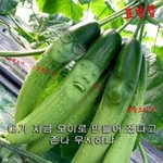[드루와] 나처럼 얼굴 긴 애 있냐