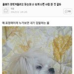 [EXO] 이<b>와중</b>에 이거 조카 개터진다고ㅅㅂ