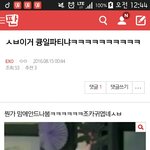 [EXO] 뽀뽀경심 진짜 큥일파티있는데?