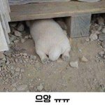 [댓글부탁해] ㅈ<b>꼭지</b> 만지면 ㅈㄴ흥분됨