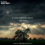 [방탄소년단] 우리<b>애들</b>은 <b>큰</b> 나무야
