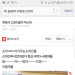 [댓글부탁해] 나 눈 <b>화사</b>닮은듯