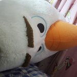 일어났는 데 올<b>라프</b> 삐졌나봐