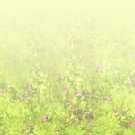 [드루와] <b>화장</b>하는 판녀들 들어와주라