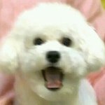 [EXO] <b>박수</b>치지 마!!!!!!!