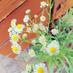 [EXO] 우리 반 <b>무단</b>조퇴외출 많아서 담임이 포기함