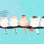[BAP] 얘들아 혹시 이거 본 사람 ㅜㅜ