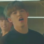 [세븐틴] 캐럿님들아ㅠㅠ