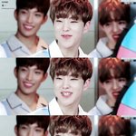 [세븐틴] ㅅㄷ 이 인형 <b>순영</b>이 닮지않음??