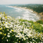 [<b>리우</b>올림픽] 올림픽 지금까지 남은 종목 중에서 이건 ㄹㅇ금메달...