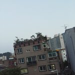 [방탄소년단] 대구 진짜 해 안떴어?