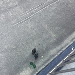 아ㅡㅡ 누가 자꾸 우리집앞에 <b>술병</b>버림