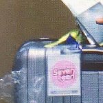 [세븐틴] <b>캐리어</b>에 세븐틴 스티커ㅋㅋㅋㅋ