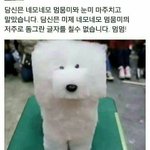 [EXO] <b>1</b>번 <b>2</b>번중에 생각하고 들어오셈 미래 남편후보