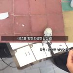 [EXO] 카줌년들 여기서 쉴드치지 말고 <b>행동</b>으로 보이라고