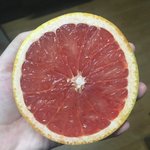 근데 <b>도복</b>순 있잖아