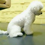 [VIVI] 비비야 <b>누나</b> 너무 슬퍼ㅠㅠ