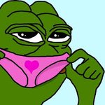 <b>옆집</b> 속옷 훔쳐옴